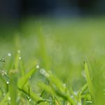 A Letter to a Homeowner’s Association
